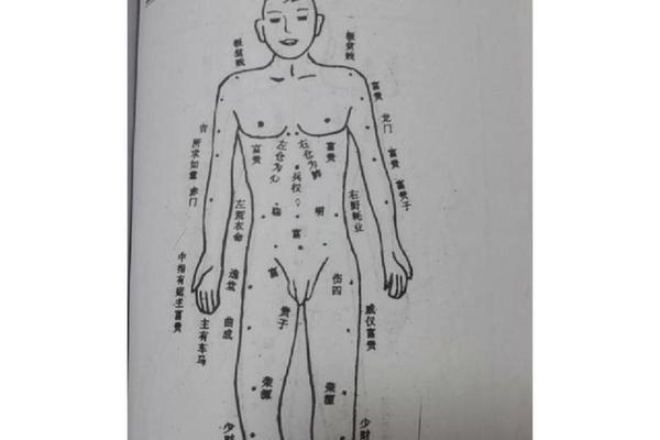 痣相双肩都有痣女、女人痣相图解