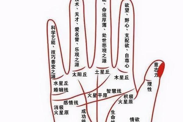 看手相和痣相、手痣相图解大全女