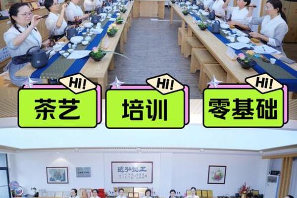 茶文化培训(茶艺课学什么)
