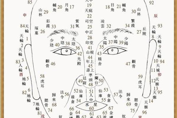 相学痣相解说;全身痣相图解大全