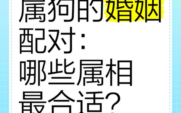 男属狗的婚姻配对最佳 男属狗的婚姻配对最佳