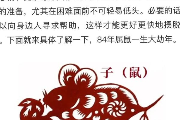 84属鼠2025年的全年运势