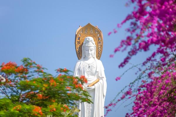 传承民族文化短视频-海涛生命电视台佛弟子网